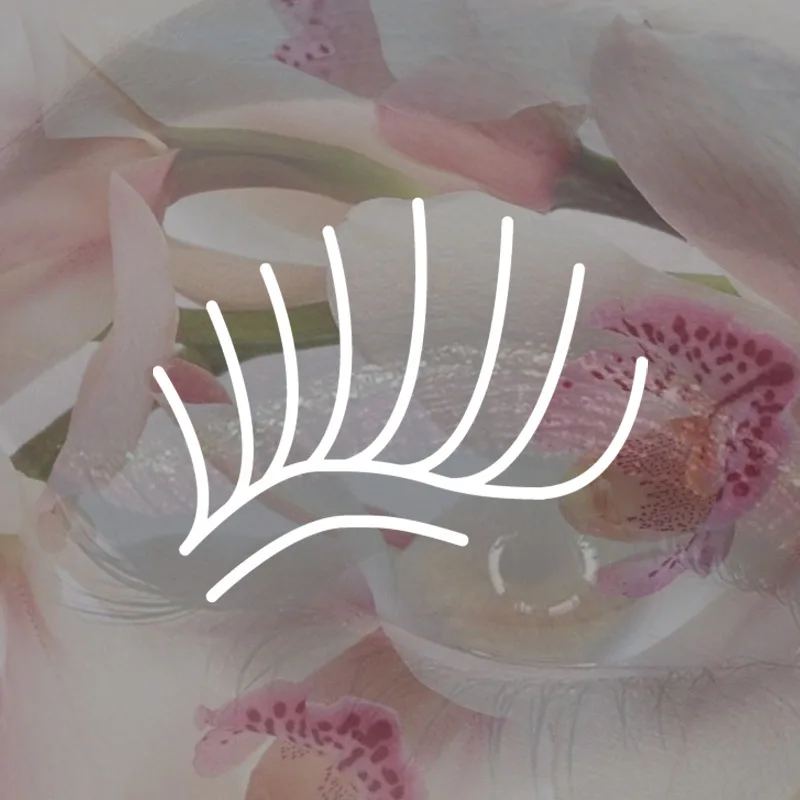 Lash extensions